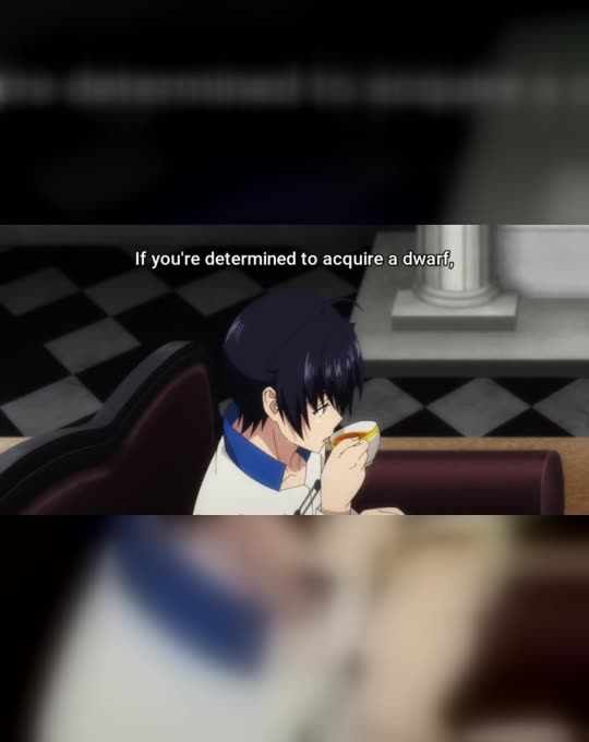Isekai Meikyuu de Harem wo 11